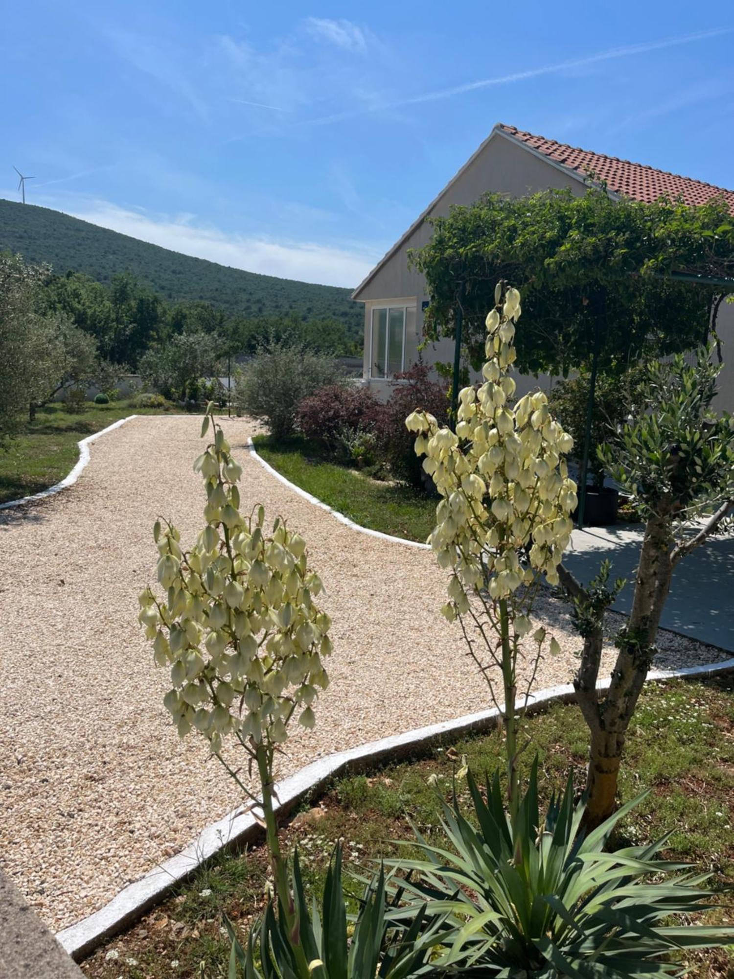 Mediterranean Olive Waterfallskrka-Croatia Villa Gulin Exteriör bild